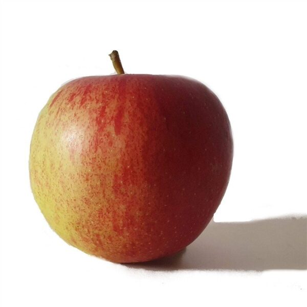 bio-apfel-schmackhafte-knackige-i
